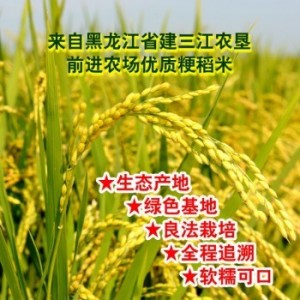 前進農場優質 長粒香水稻