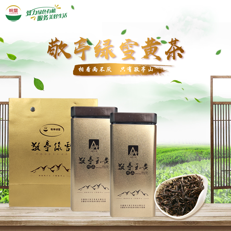 皖墾敬亭綠雪玉黃茶2021年一級新茶鮮嫩芽葉50g/罐